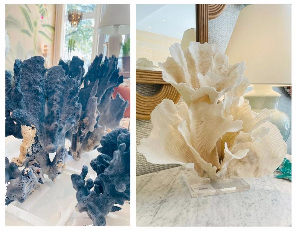 Sculptural Coral & One-of-a-Kind Shell Mirrors